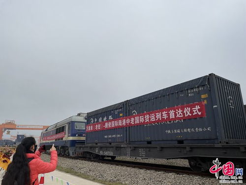 騰俊國(guó)際陸港中老國(guó)際貨運(yùn)列車(chē)首次抵達(dá)昆明晉寧