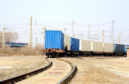 甘肅首列單一品名跨境電商國際貨運專列在武威南站發運