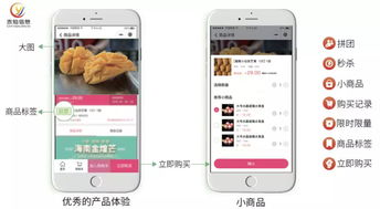 水產(chǎn)行業(yè)協(xié)會如何利用社區(qū)團(tuán)購系統(tǒng)與互聯(lián)網(wǎng)信息服務(wù)提升會員商家銷量